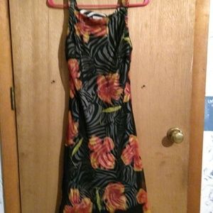 Beautiful zebra print dress